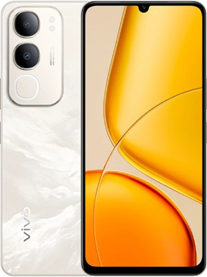 Y50 2025